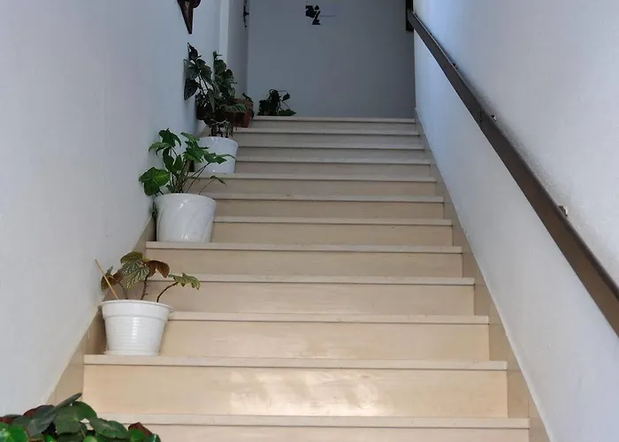 Restaurante E Residencial O Resineiro 3* Vidago